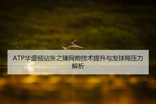 ATP华盛顿站张之臻网前技术提升与发球局压力解析