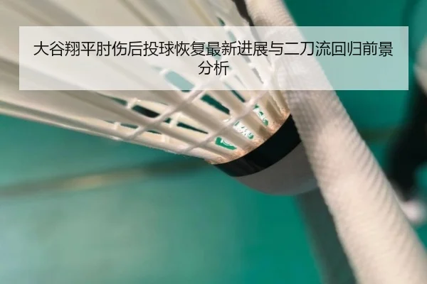 大谷翔平肘伤后投球恢复最新进展与二刀流回归前景分析